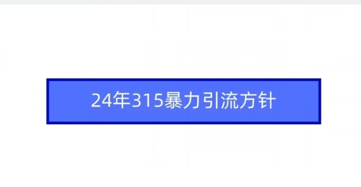 （第6531期）24年315暴力引流方针