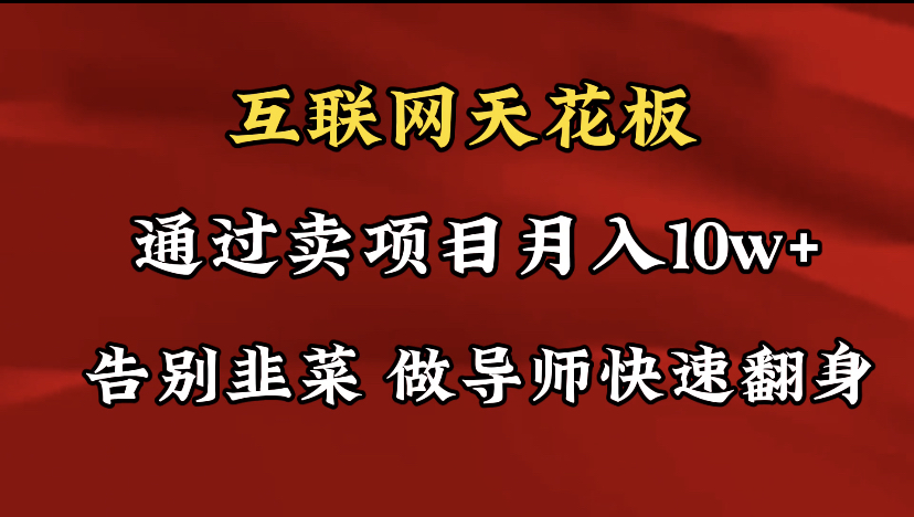 （第6265期）导师训练营互联网的天花板，让你告别韭菜，通过卖项目月入10w+，一定要做的项目