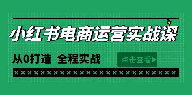 （第7528期）最新小红书·电商运营实战课，从0打造  全程实战（65节视频课）