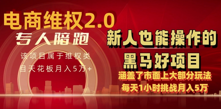 （第7283期）电商维权 4.0 如何做到月入 5 万+每天 1 小时新人也能快速上手【仅揭秘】