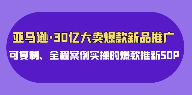 （第7526期）亚马逊30亿·大卖爆款新品推广，可复制、全程案例实操的爆款推新SOP