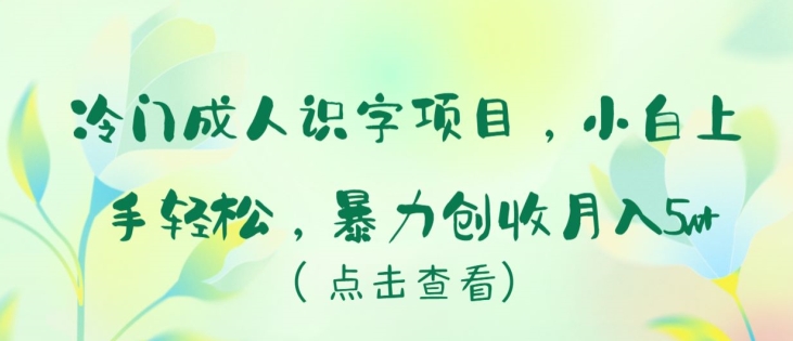 （第7593期）冷门成人识字项目，小白上手轻松，暴力创收月入5w+