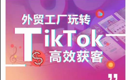 （第8124期）外贸工厂玩转TikTok高效获客，多种引流方式与账号定位技巧，拆解爆款短视频打造成功案例
