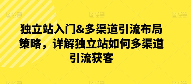 （第8522期）独立站入门&多渠道引流布局策略，详解独立站如何多渠道引流获客