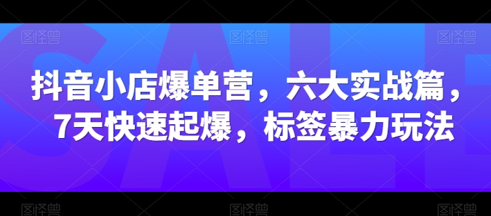 （第8644期）抖音小店爆单营，六大实战篇，7天快速起爆，标签暴力玩法