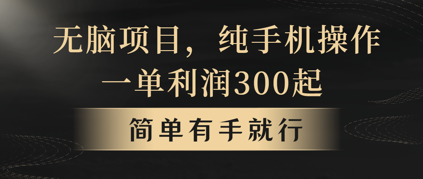 （第8590期）无脑项目，一单几百块，轻松月入5w+，看完就能直接操作