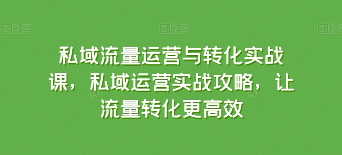 （第8834期）私域流量运营与转化实战课，私域运营实战攻略，让流量转化更高效