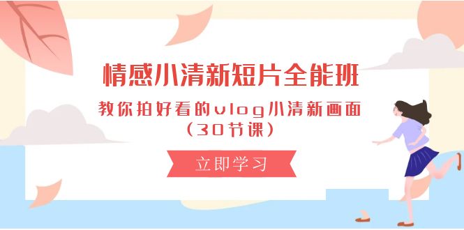 （第8558期）情感 小清新短片-全能班，教你拍好看的vlog小清新画面 (30节课)