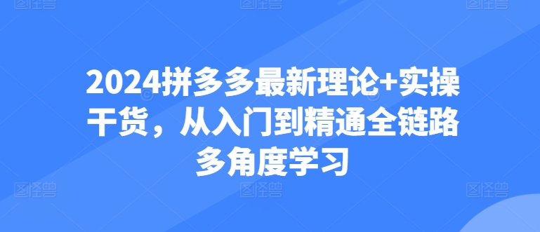 （第8959期）2024拼多多最新理论+实操干货，从入门到精通全链路多角度学习