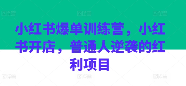 （第9453期）小红书爆单训练营，小红书开店，普通人逆袭的红利项目