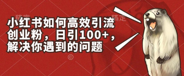 （第9558期）小红书如何高效引流创业粉，日引100+，解决你遇到的问题