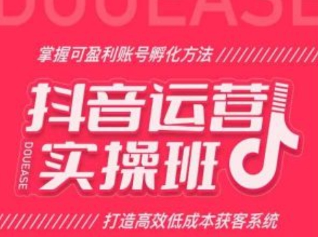 （第9710期）抖音运营实操班，掌握可盈利账号孵化方法，打造高效低成本获客系统