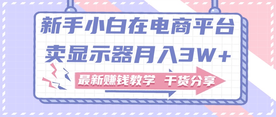 （第9345期）新手小白如何做到在电商平台卖显示器月入3W+，最新赚钱教学干货分享