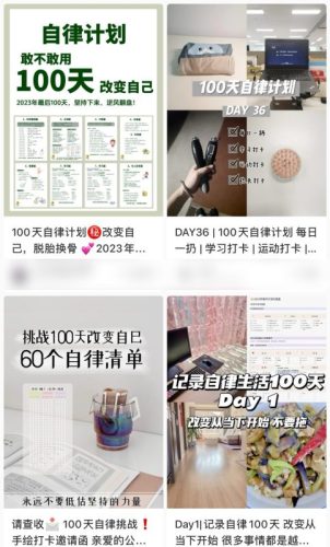 （第9330期）简单操作4个月赚9万！小红书打卡日变现1000+！一个被忽视的暴力项目