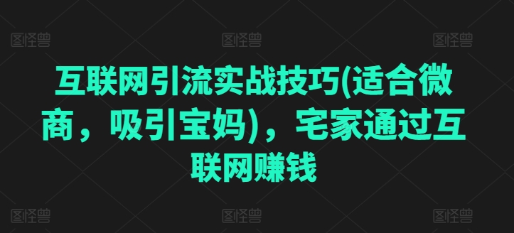 （第9439期）互联网引流实战技巧(适合微商，吸引宝妈)，宅家通过互联网赚钱