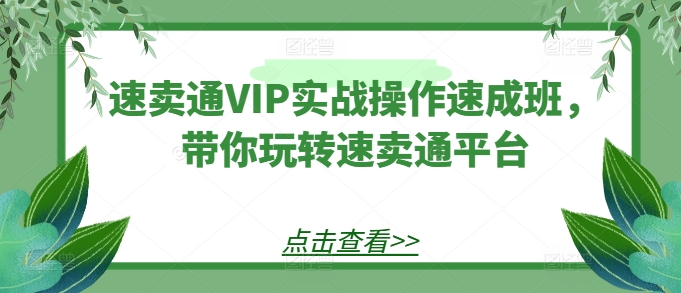 （第9137期）速卖通VIP实战操作速成班，带你玩转速卖通平台