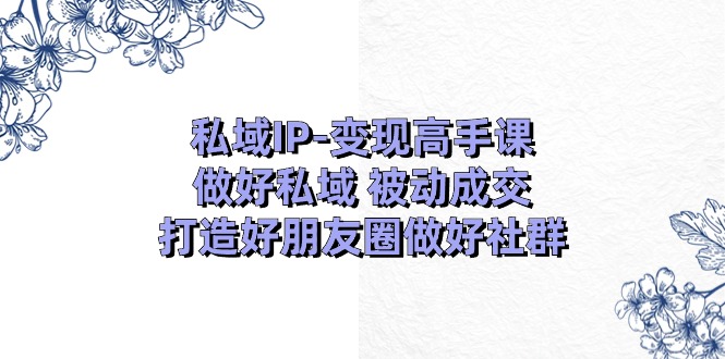 （第9587期）私域IP-变现高手课：做好私域 被动成交，打造好朋友圈做好社群（18节）