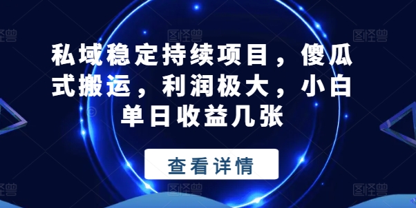 （第9445期）私域稳定持续项目，傻瓜式搬运，利润极大，小白单日收益几张