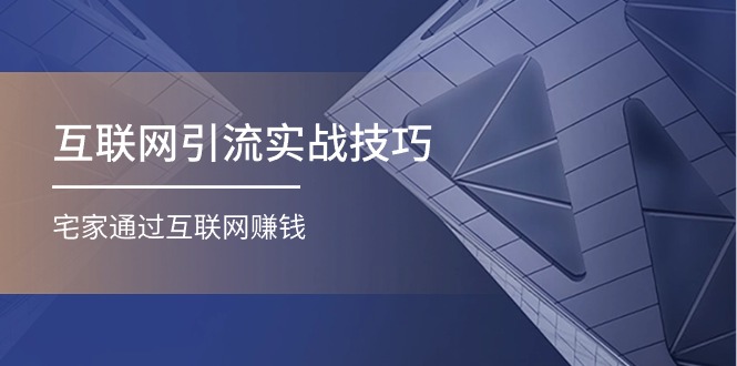 （第9431期）互联网引流实操技巧(适合微商，吸引宝妈)，宅家通过互联网赚钱（17节）