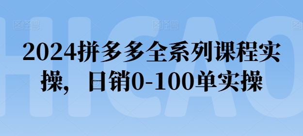 （第9599期）2024拼多多全系列课程实操，日销0-100单实操