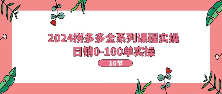 （第9610期）2024拼多多全系列课程实操，日销0-100单实操【16节课】