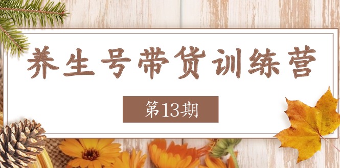 （第9695期）养生号-带货训练营【第13期】收益更稳定的玩法，让你带货收益爆炸