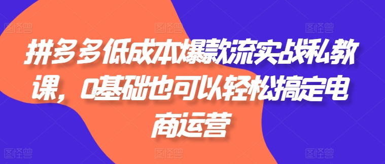 （第9395期）拼多多低成本爆款流实战私教课，0基础也可以轻松搞定电商运营