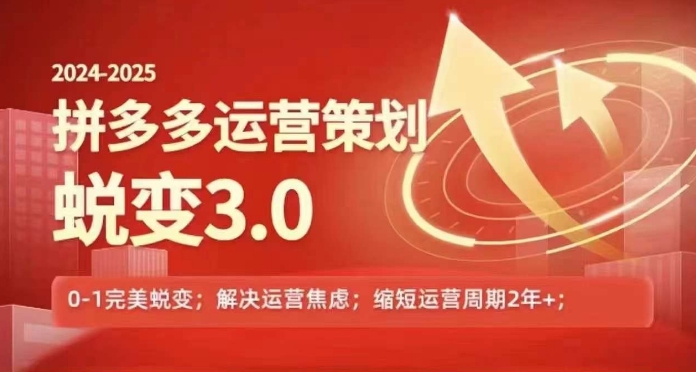 （第10313期）2024-2025拼多多运营策略蜕变3.0，0~1完美蜕变，解决信息焦虑