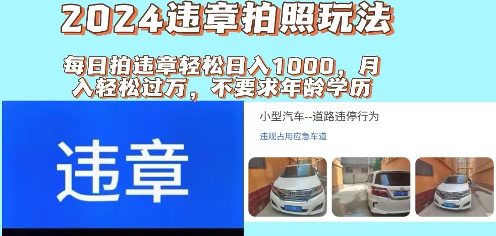 （第10455期）2024违章拍照新玩法，推广躺赚+拍照赚钱双模式，日入1000+