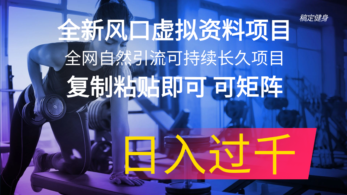 （第10167期）全新风口虚拟资料项目 全网自然引流可持续长久项目 复制粘贴即可可矩阵…