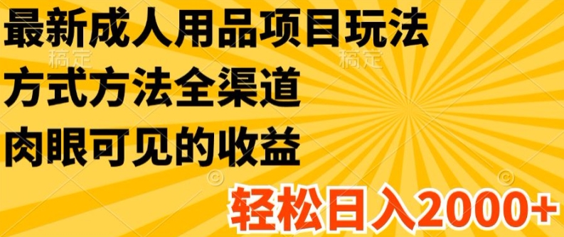 （第10270期）最新成人用品项目玩法，方式方法全渠道，轻松日入2K+