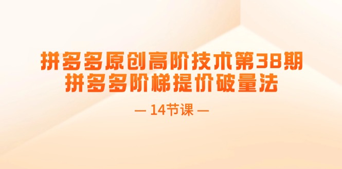 （第10382期）拼多多原创高阶技术第38期，拼多多阶梯提价破量法（14节课）