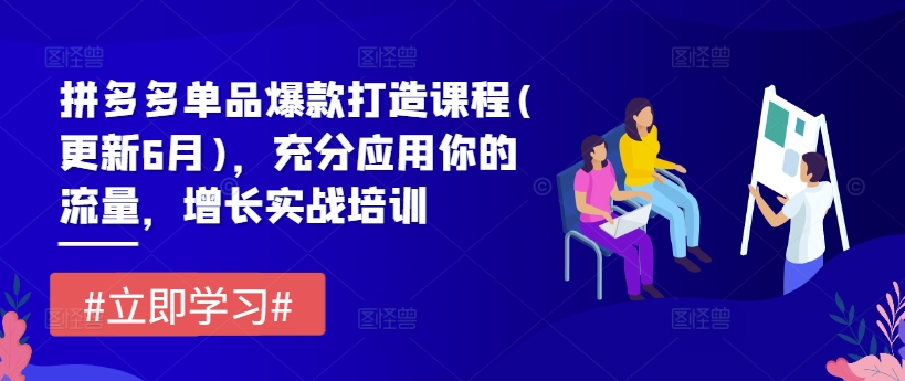 （第10142期）拼多多单品爆款打造课程(更新6月)，充分应用你的流量，增长实战培训