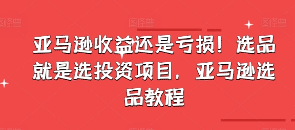 （第9935期）亚马逊收益还是亏损！选品就是选投资项目，亚马逊选品教程