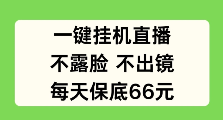 （第9956期）一键挂JI直播，不露脸不出境，每天保底66元