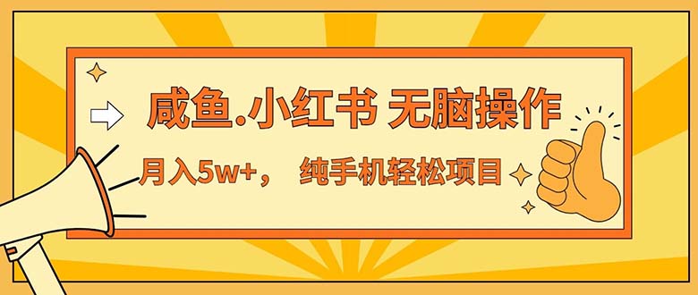 （第10082期）2024最赚钱的项目，咸鱼，小红书无脑操作，每单利润500+，轻松月入5万+…