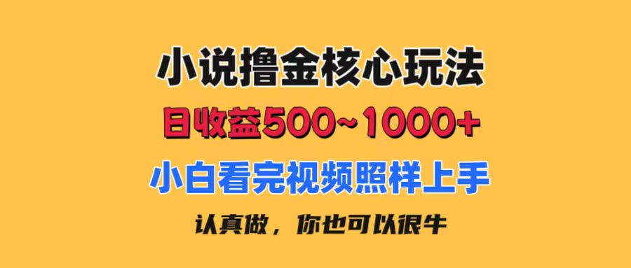 （第9984期）小说撸金核心玩法，日收益500-1000+，小白看完照样上手，0成本有手就行