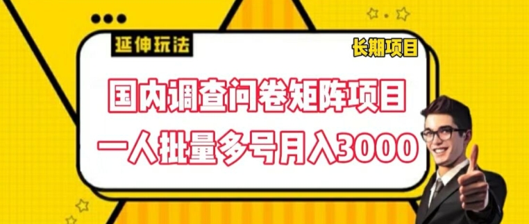 （第10470期）国内调查问卷矩阵项目，一人批量多号月入3000