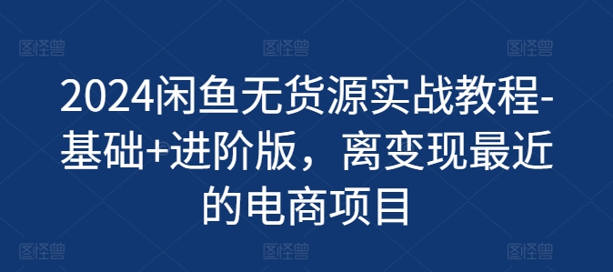 （第10123期）2024闲鱼无货源实战教程-基础+进阶版，离变现最近的电商项目