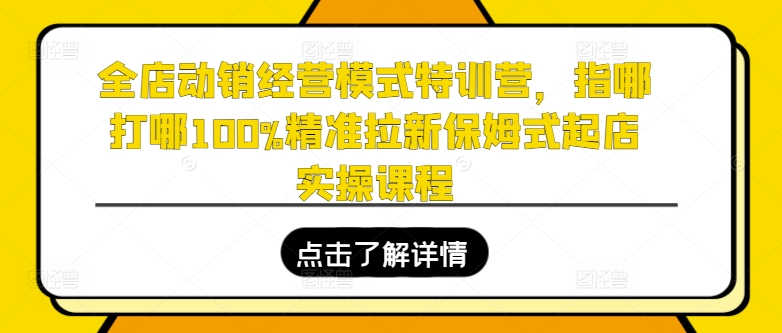 （第9969期）全店动销经营模式特训营，指哪打哪100%精准拉新保姆式起店实操（录音+导图）课程