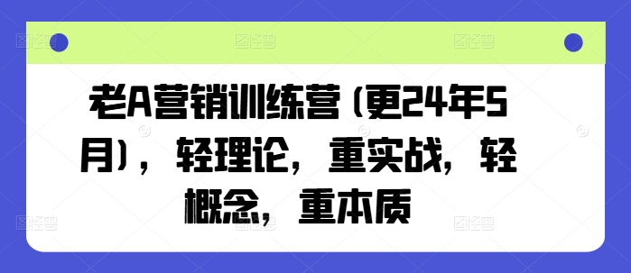 （第9929期）老A营销训练营(更24年6月)，轻理论，重实战，轻概念，重本质