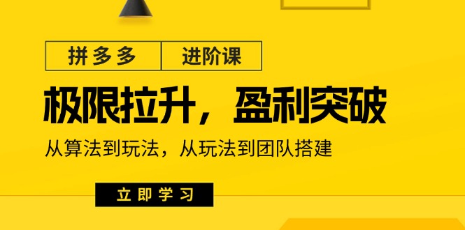 （第9949期）拼多多·进阶课：极限拉升/盈利突破：从算法到玩法 从玩法到团队搭建-18节