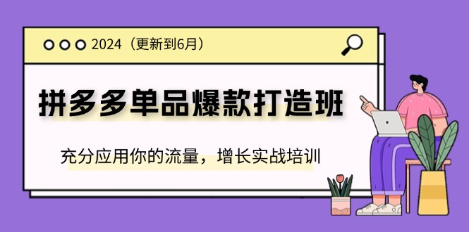 （第10109期）2024拼多多-单品爆款打造班(更新6月)，充分应用你的流量，增长实战培训