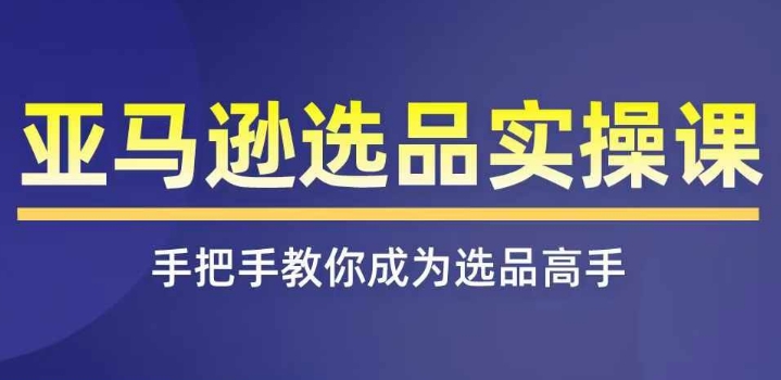 （第10230期）亚马逊选品实操课程，快速掌握亚马逊选品的技巧，覆盖亚马逊选品所有渠道