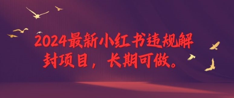 （第11160期）2024最新小红书违规解封项目，长期可做，一个可以做到退休的项目