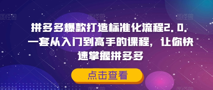 （第11227期）拼多多爆款打造标准化流程2.0，一套从入门到高手的课程，让你快速掌握拼多多