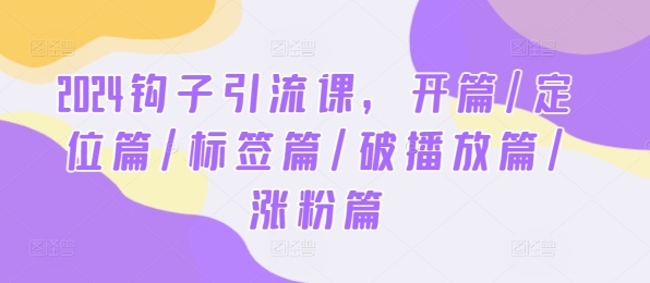 （第11058期）2024钩子引流课，开篇/定位篇/标签篇/破播放篇/涨粉篇