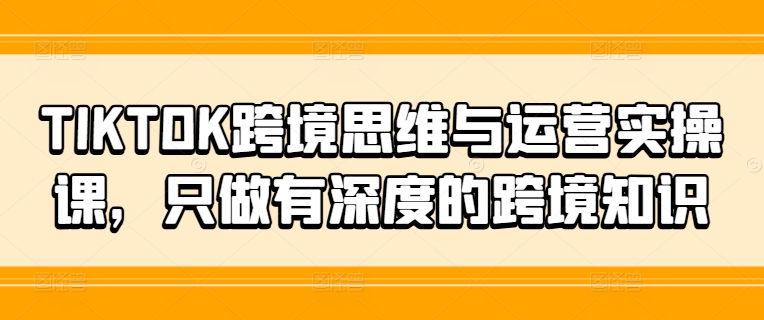 （第10882期）TIKTOK跨境思维与运营实操课，只做有深度的跨境知识