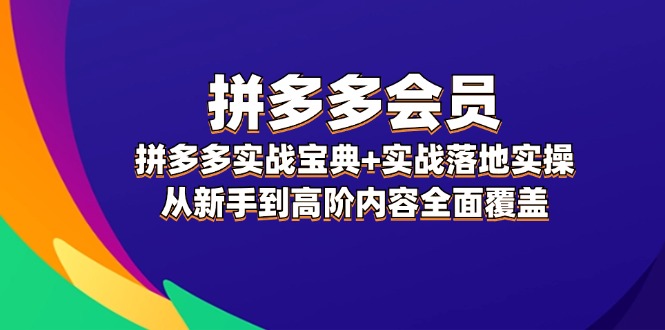 （第10972期）拼多多 会员，拼多多实战宝典+实战落地实操，从新手到高阶内容全面覆盖