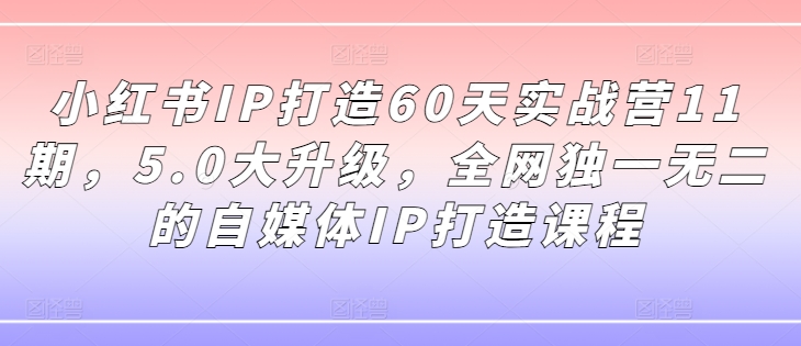 （第11225期）小红书IP打造60天实战营11期，5.0大升级，全网独一无二的自媒体IP打造课程